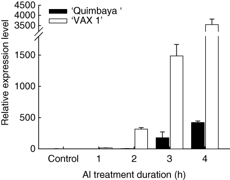 Fig. 6.