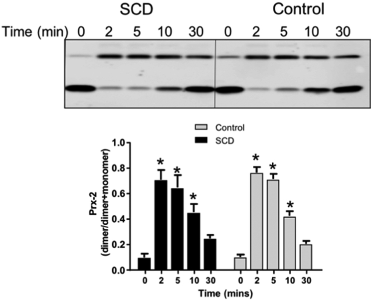 Figure 4: