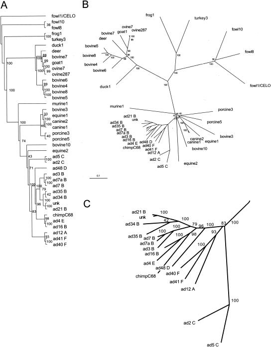 FIG. 4.