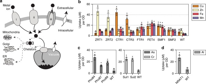 Fig. 1