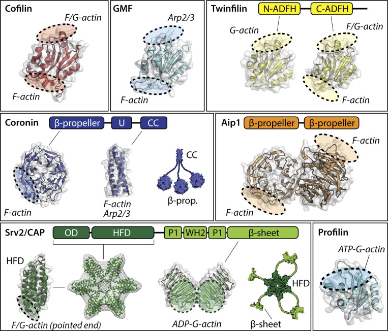 Figure 3.