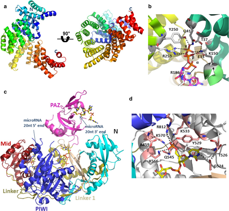 Fig. 1