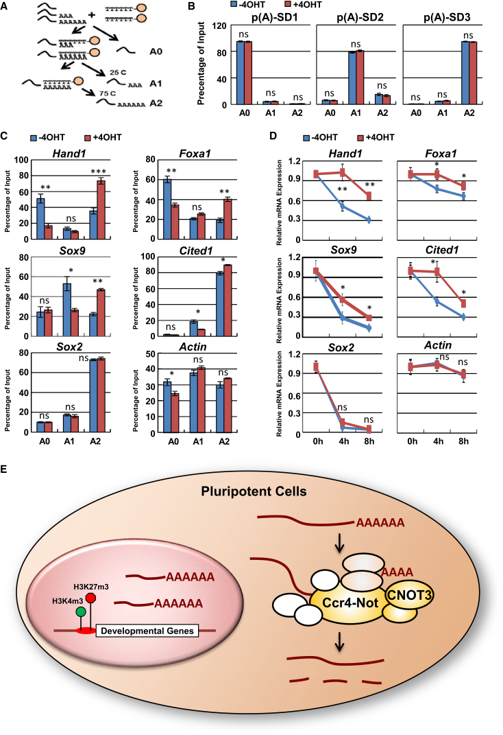 Figure 6