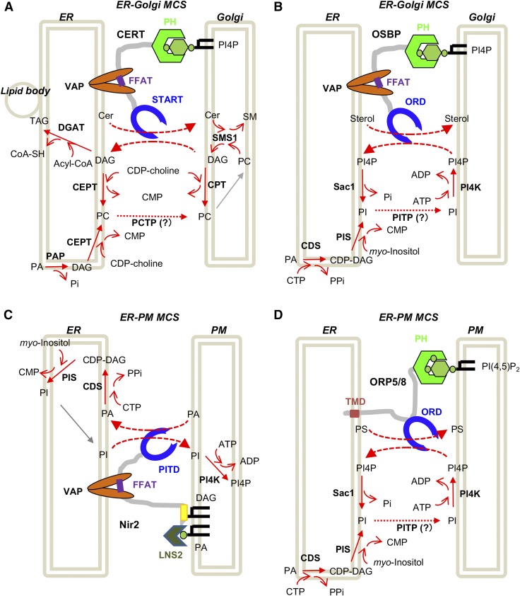 graphic file with name 2034fig5.jpg