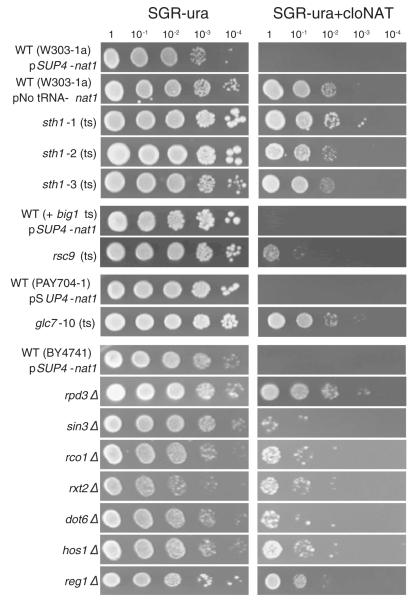 Fig. 4