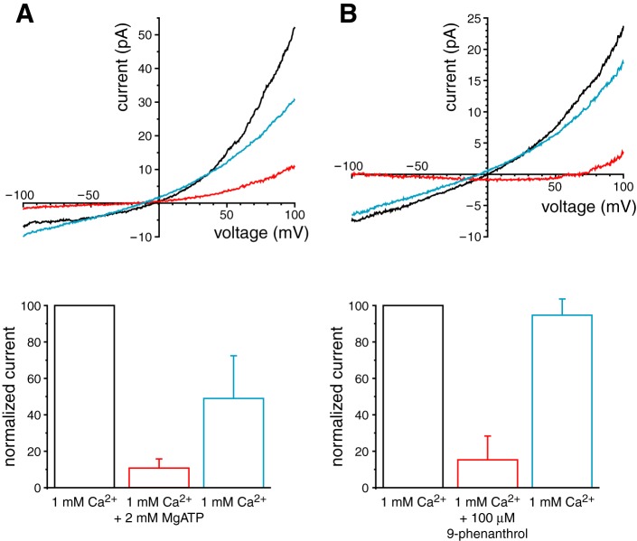 Fig. 3.