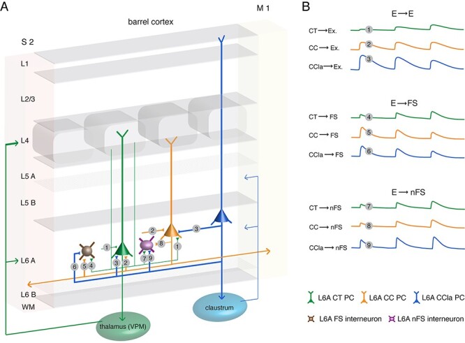 Figure 6