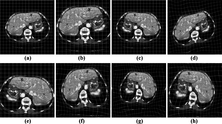 Fig. 6