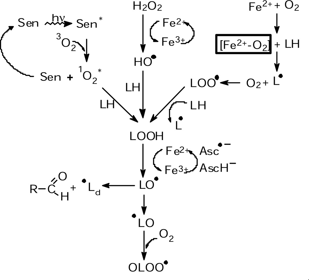 Fig. 2