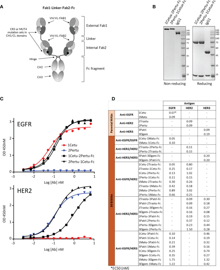 Figure 1