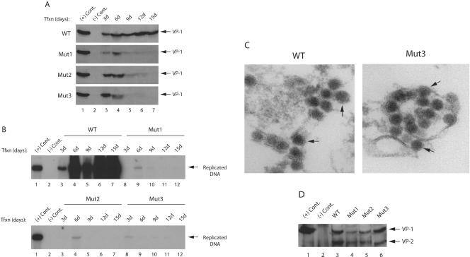 FIG. 6.