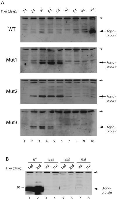 FIG. 4.