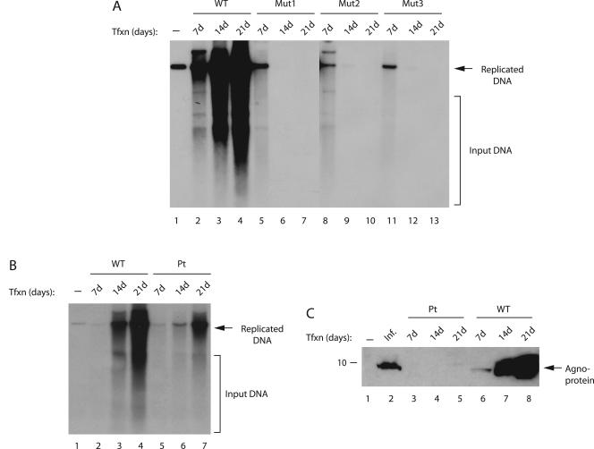 FIG. 3.