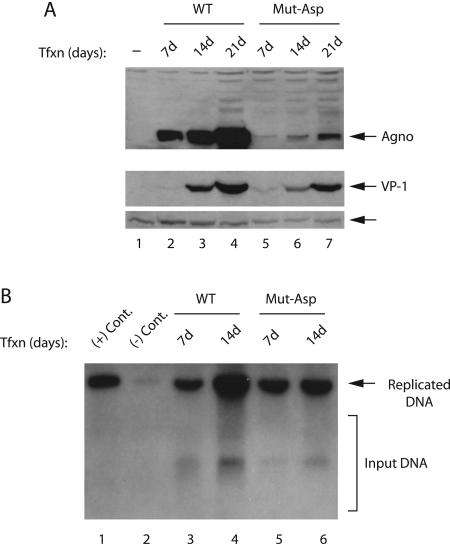 FIG. 7.