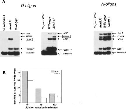 FIGURE 4.