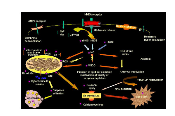 Figure 11