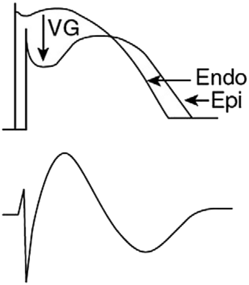 Fig. 8