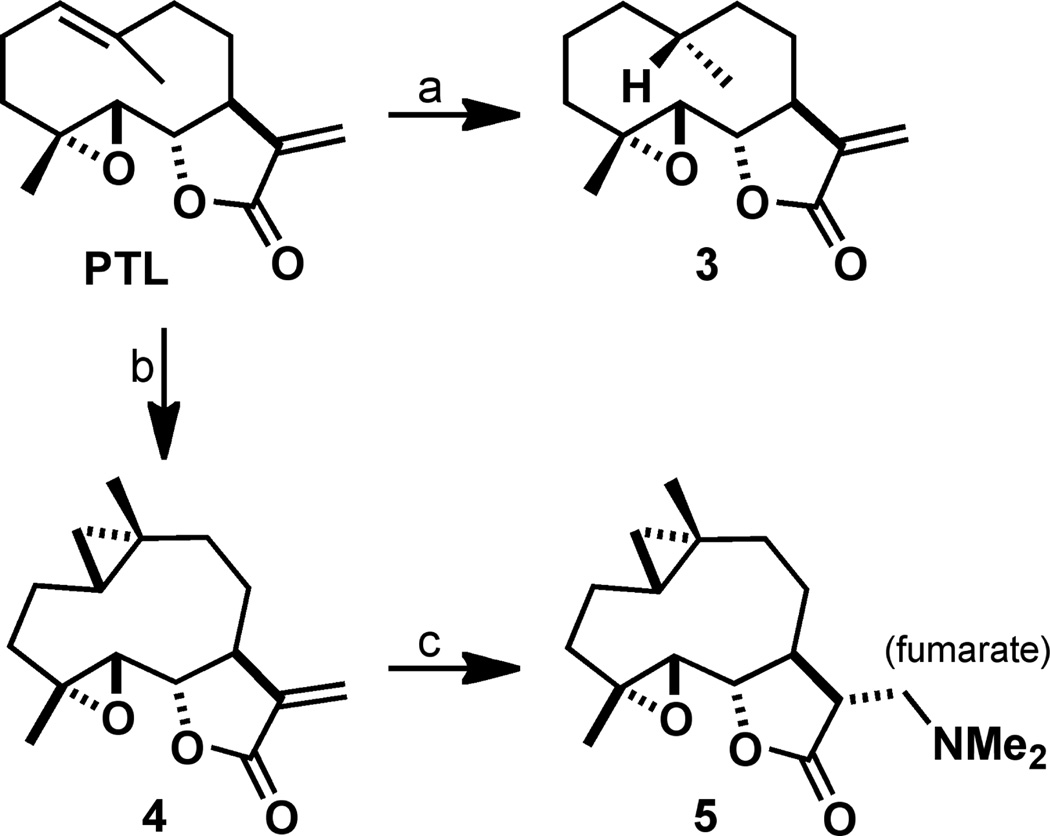 Scheme 1