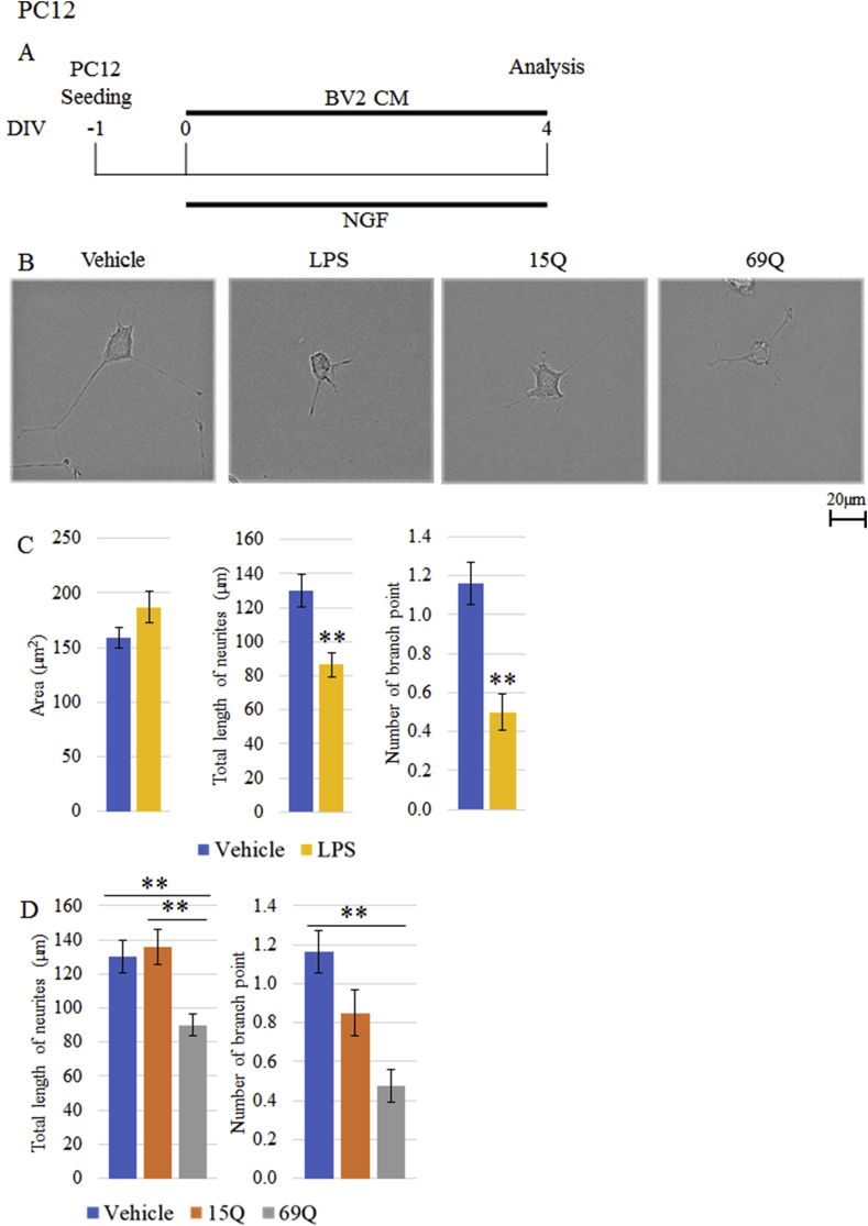 Figure 5