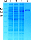 Fig. 2