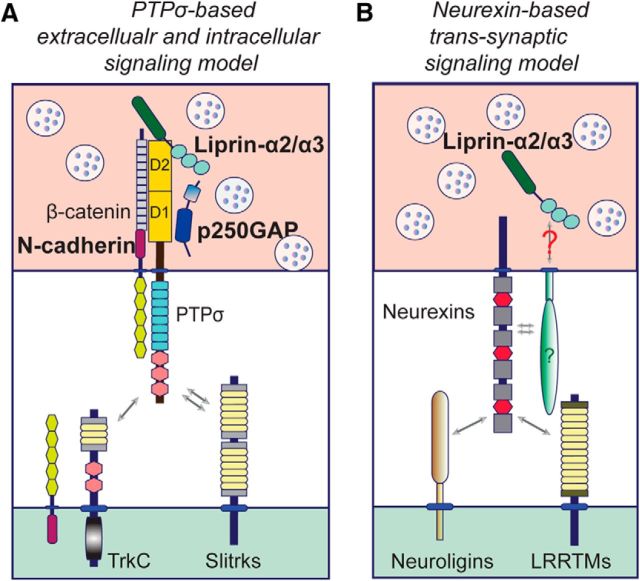 Figure 13.