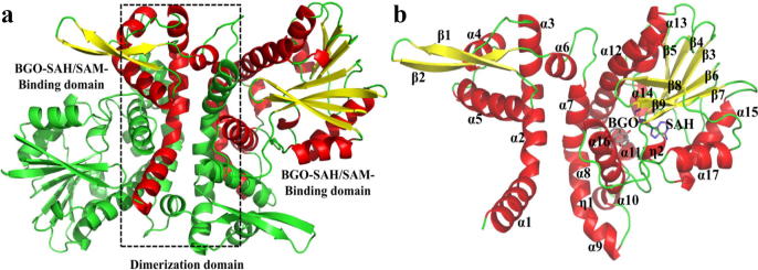 Fig. 1