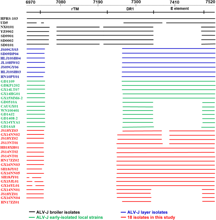 Figure 4