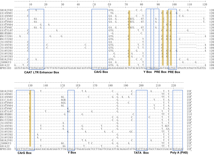 Figure 6