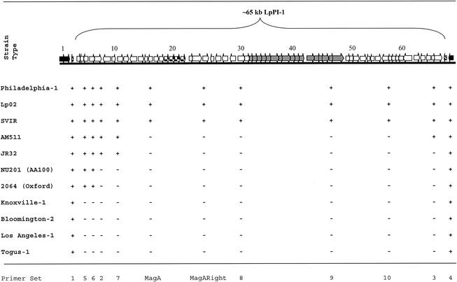 FIG. 2.