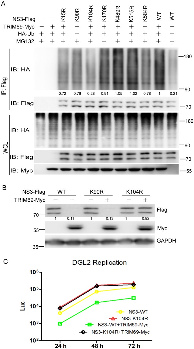 Fig 8