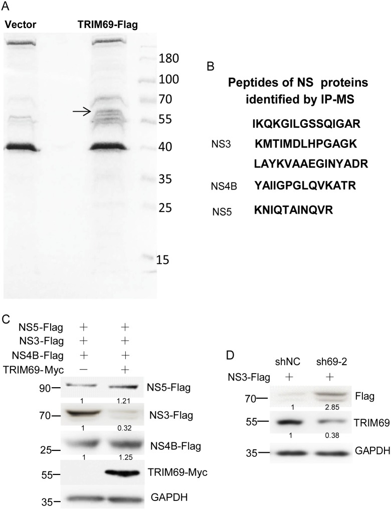 Fig 5