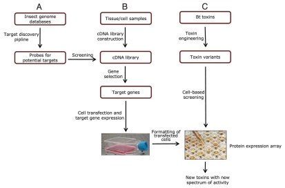 Figure 11