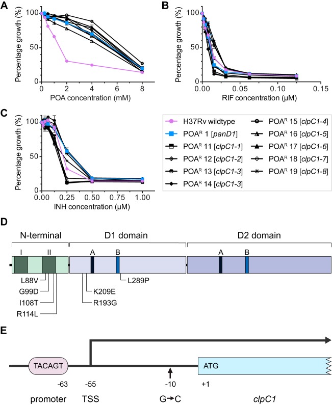 FIG 1