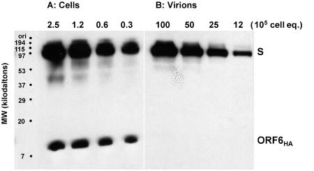 FIG. 4.