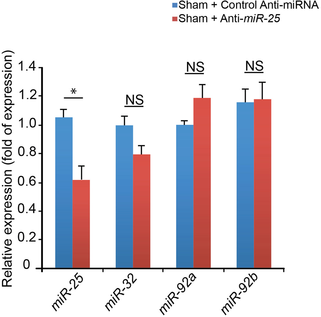 Extended Data Fig. 7