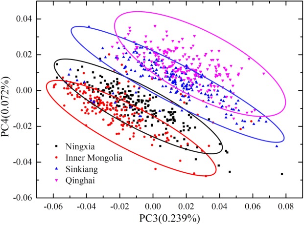 Fig 6