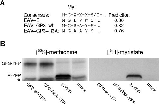 Fig. 11