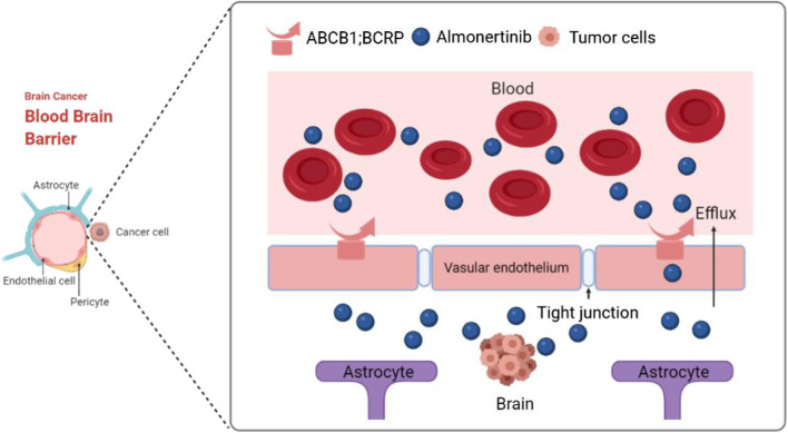 GRAPHICAL ABSTRACT