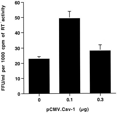 FIG. 3.