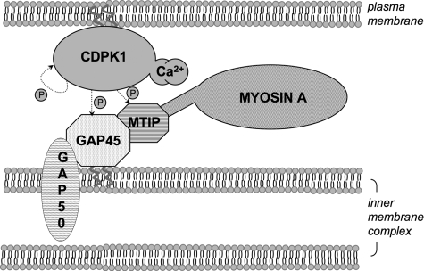 FIGURE 9.