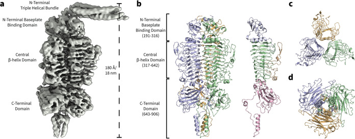 FIG 3