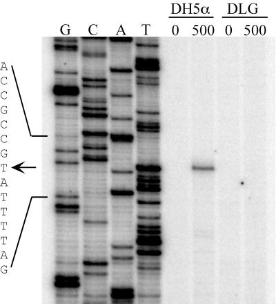 FIG. 3