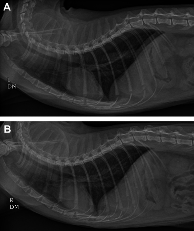 Fig 6.