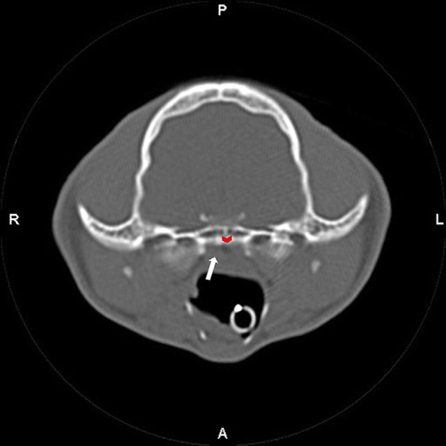 Fig 2.