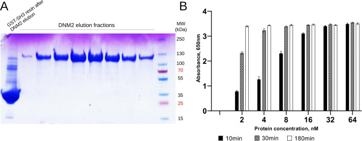 Figure 3—figure supplement 1.