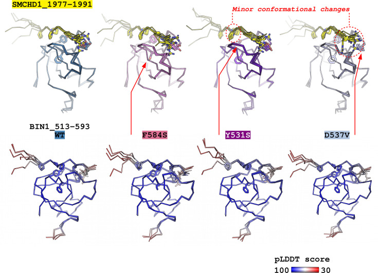 Figure 7—figure supplement 1.