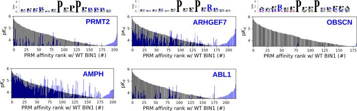 Figure 5—figure supplement 1.