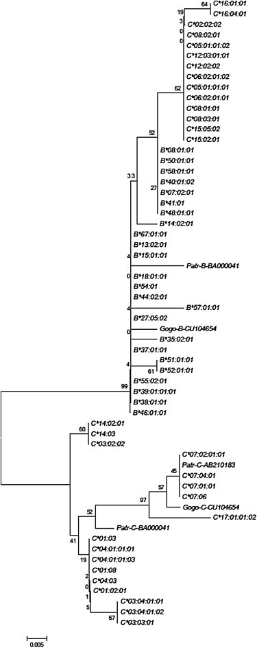 Figure 4