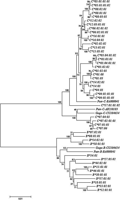 Figure 2