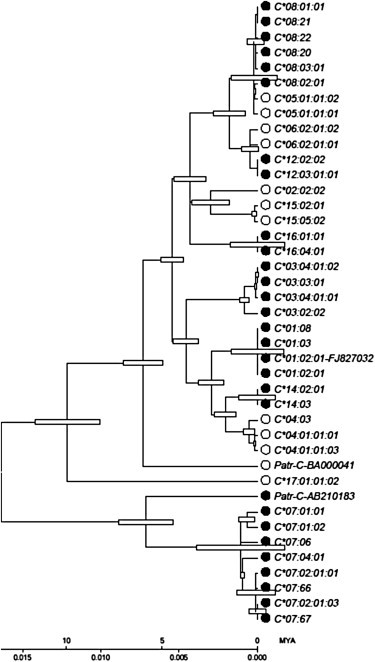 Figure 5